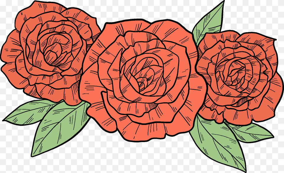 Red Roses Clipart, Carnation, Flower, Plant, Rose Free Png
