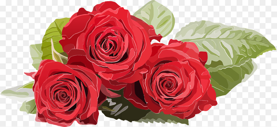 Red Roses Clipart, Flower, Plant, Rose, Flower Arrangement Png Image