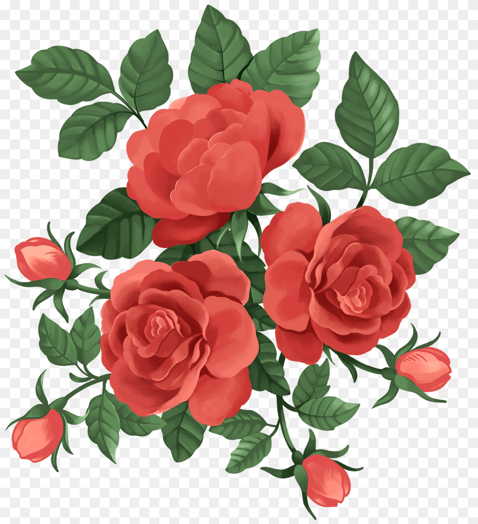 Red Roses Clipart, Flower, Pattern, Plant, Rose Png