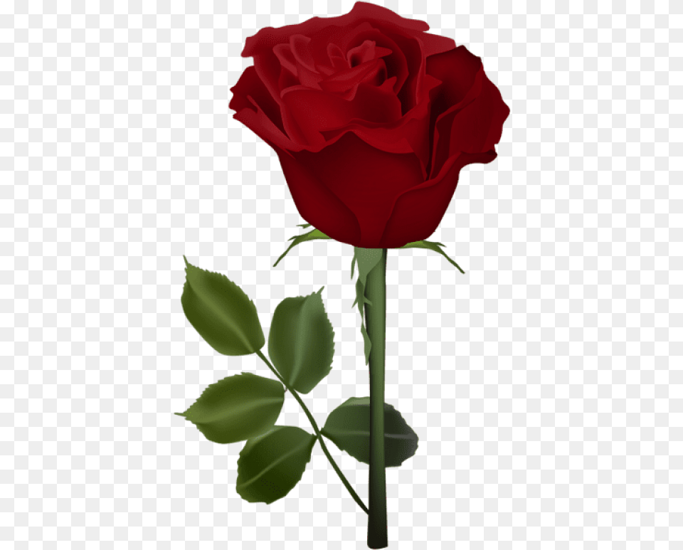 Red Roses Clipart Dil Gulab Ka Phool, Flower, Plant, Rose Free Png