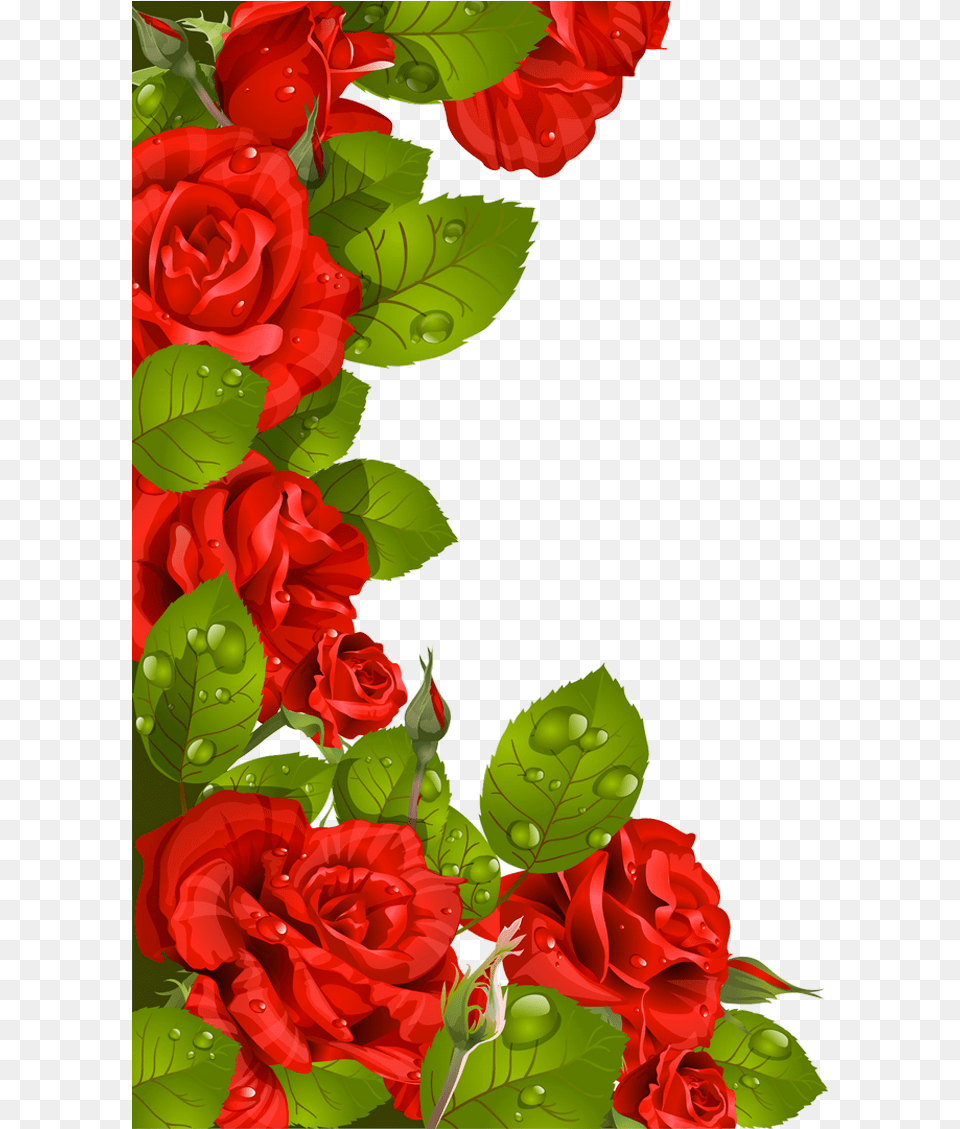 Red Roses Decoration For Frame Clipart Best Photo Frame, Flower, Plant, Rose, Flower Arrangement Free Png