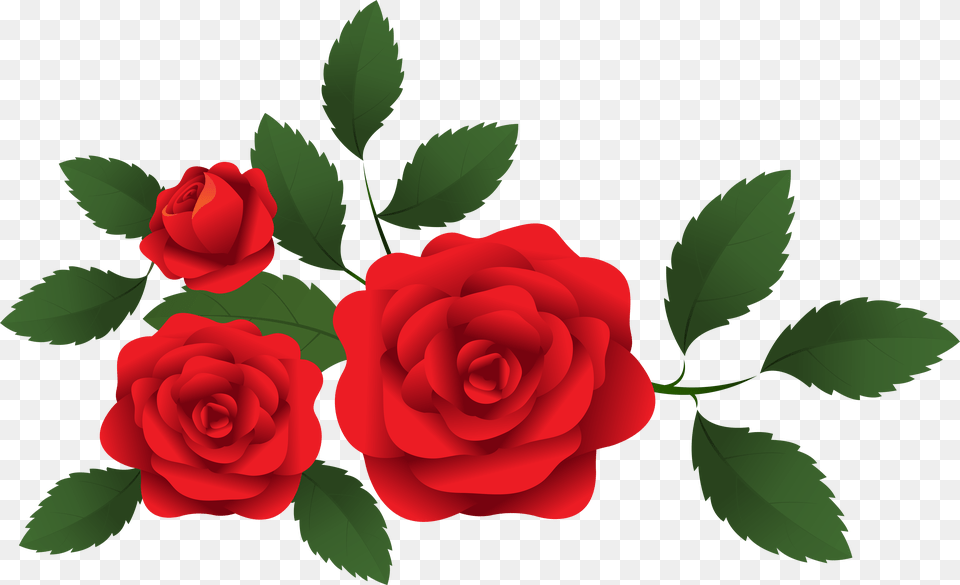Red Roses Decoration Red Roses Clip Art, Flower, Plant, Rose Free Png