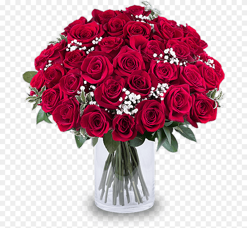 Red Roses Floribunda, Flower, Flower Arrangement, Flower Bouquet, Plant Png Image