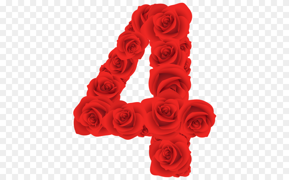 Red Roses Four Number, Flower, Plant, Rose Free Png