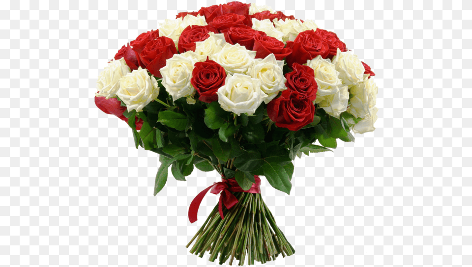 Red Roses Hand Bunch Flower Valentines Day, Flower Arrangement, Flower Bouquet, Plant, Rose Free Transparent Png