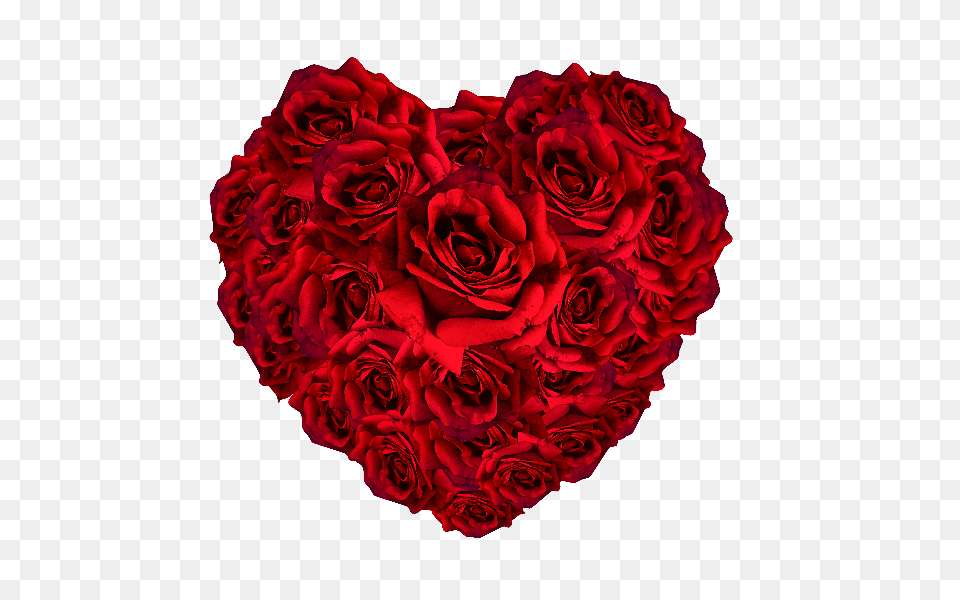 Red Roses Heart, Flower, Plant, Rose Png Image