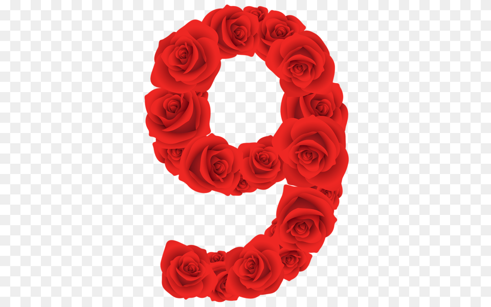 Red Roses Nine Number, Flower, Plant, Rose Free Transparent Png