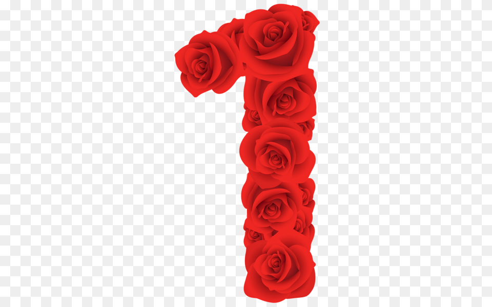 Red Roses One Number, Flower, Plant, Rose Png