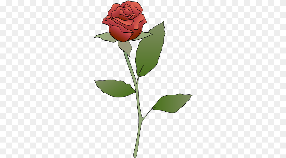 Red Roses Red Rose Pic Art, Flower, Plant, Person Free Png