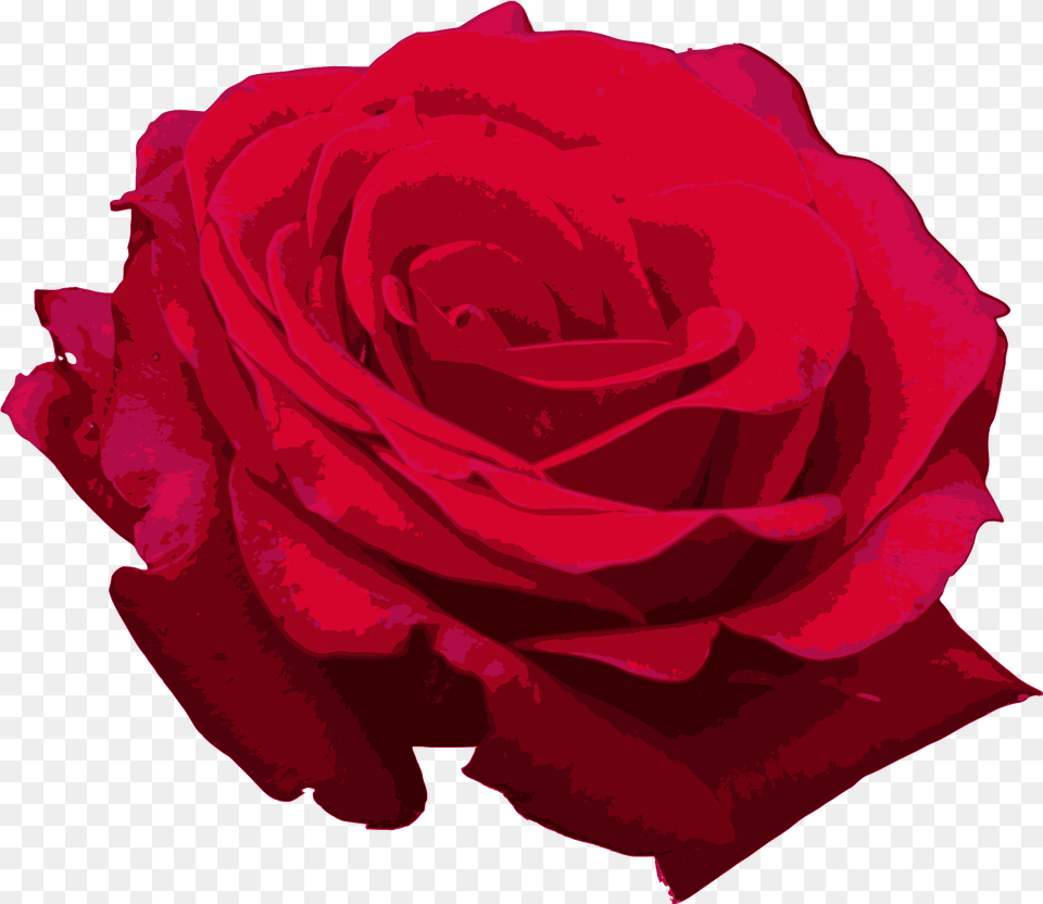Red Roses Red Watercolor Rose, Flower, Plant, Petal Free Png