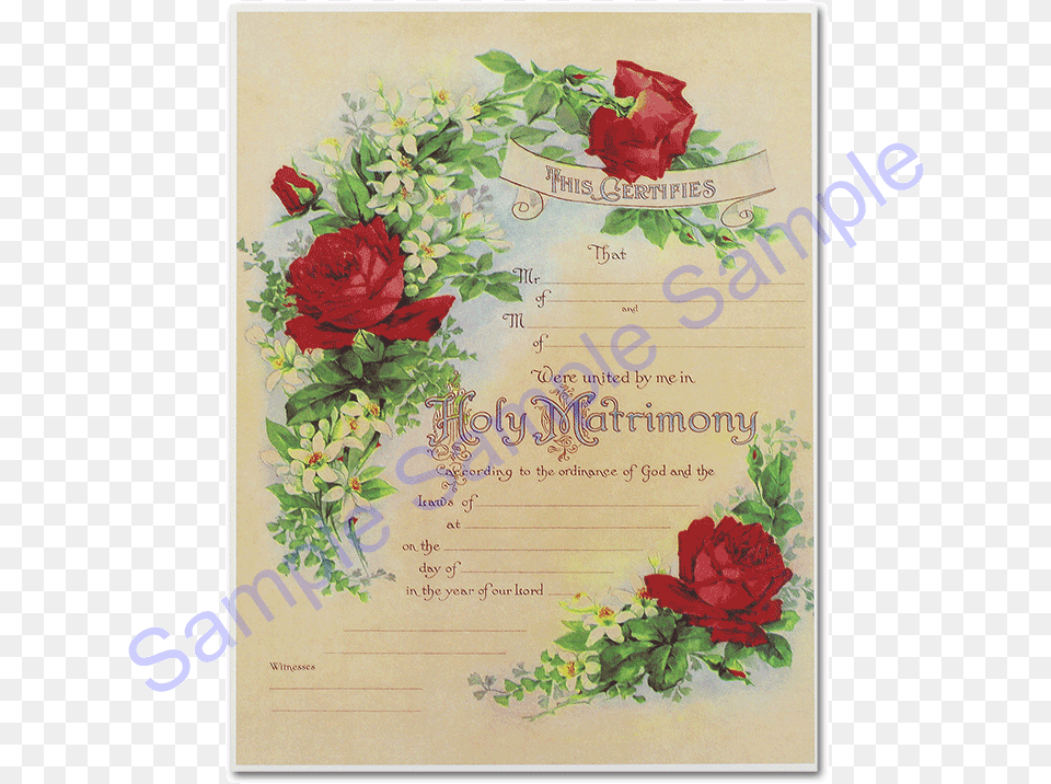 Red Roses Rose Floral Marriage Certificate, Greeting Card, Envelope, Flower, Plant Free Png Download
