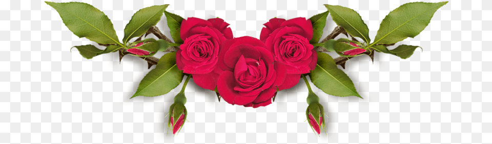 Red Roses Scrap Clip Art Image Search Picture Frames Cveti Na Prozrachnom Fone, Flower, Plant, Rose, Flower Arrangement Free Transparent Png