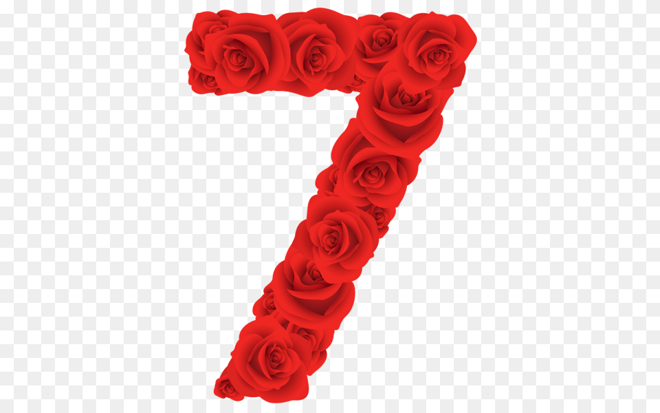 Red Roses Seven Number, Flower, Plant, Rose Free Png Download