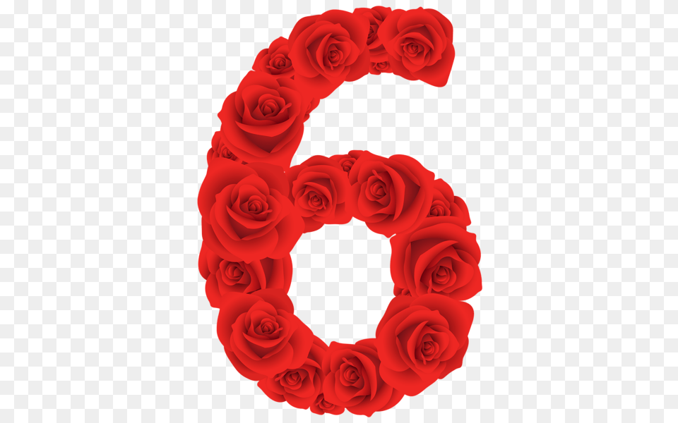 Red Roses Six Number, Flower, Plant, Rose Png Image