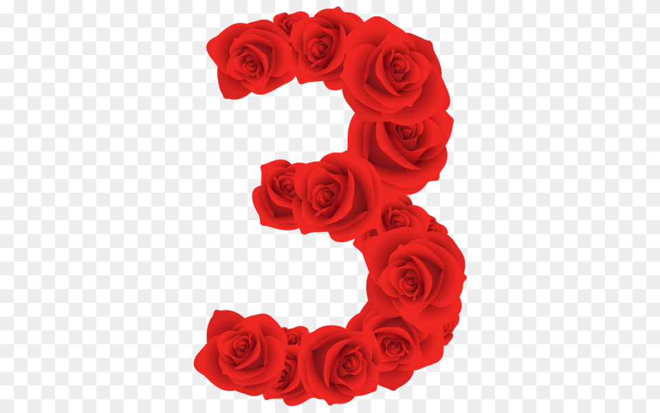 Red Roses Three Number, Flower, Plant, Rose Png
