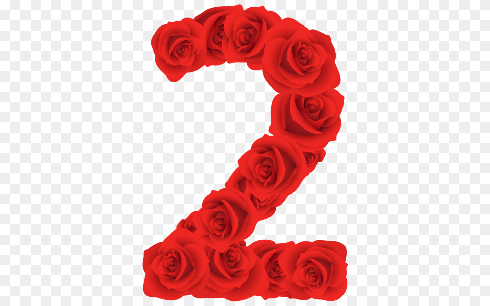 Red Roses Two Number, Flower, Plant, Rose Png Image