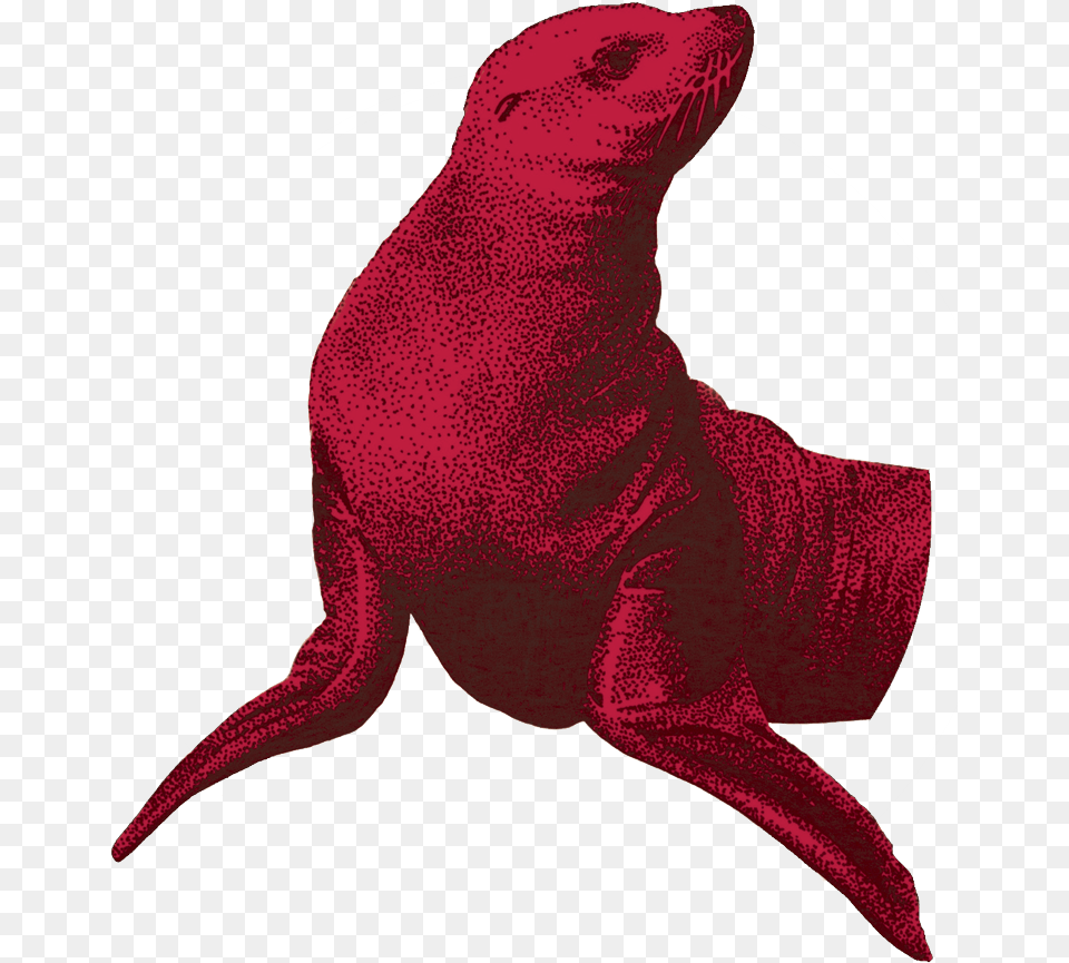 Red Seal Red Seal, Animal, Mammal, Sea Life, Sea Lion Free Png