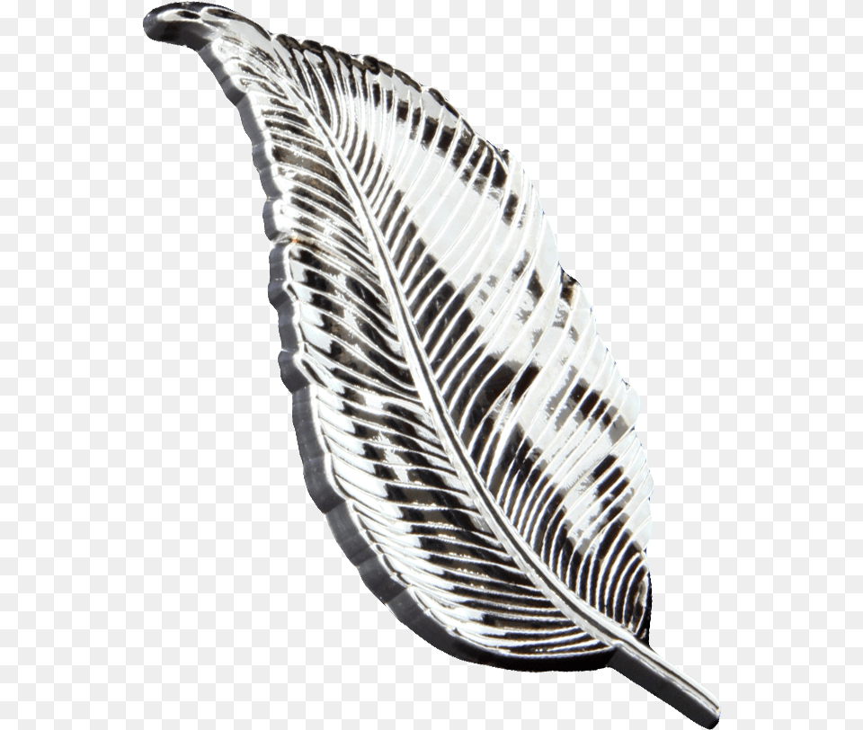 Red Shouldered Hawk, Accessories, Leaf, Plant, Jewelry Png Image