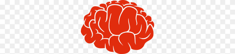Red Silhouette Of A Brain Vector Image Dzmemore, Berry, Produce, Plant, Person Png