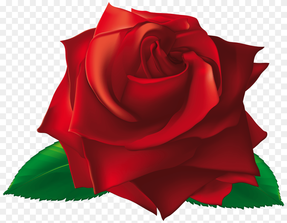 Red Single Rose Clipart, Flower, Plant Free Transparent Png