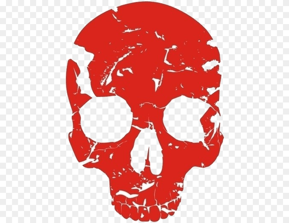Red Skull Human Skeleton Bone Red Skull, Baby, Person Free Png