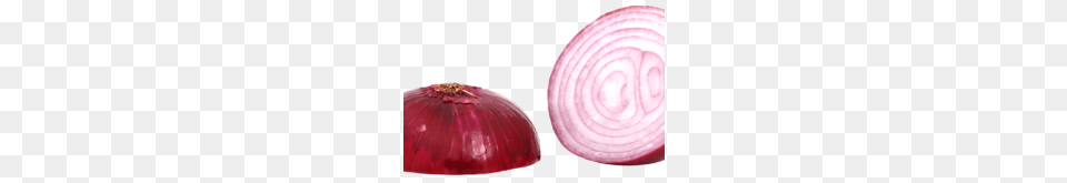 Red Sliced Onion Image Transparent Best Stock Photos, Food, Produce, Plant, Vegetable Free Png