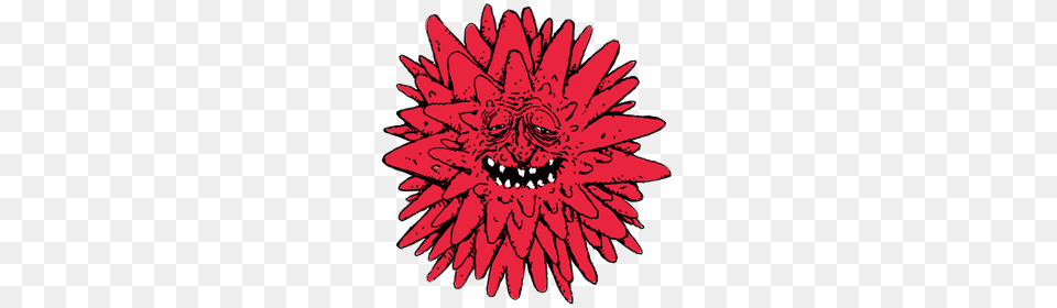 Red Smiling Virus, Dahlia, Flower, Plant, Maroon Free Png