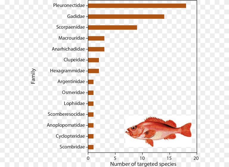 Red Snapper, Animal, Fish, Sea Life, Aquatic Png Image