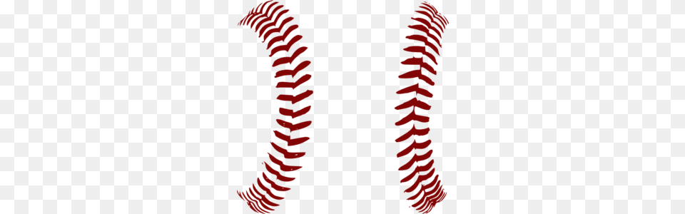 Red Softball Laces Only Clip Art Baseball Baseball, Coil, Spiral, Person, Fern Free Png Download