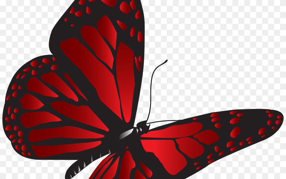 Red Sox Vs Cardinals Clip Art Hot Trending Now, Animal, Butterfly, Insect, Invertebrate Png Image