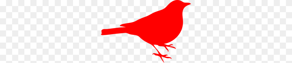 Red Sparrow Clip Art, Animal, Bird, Fish, Sea Life Free Png