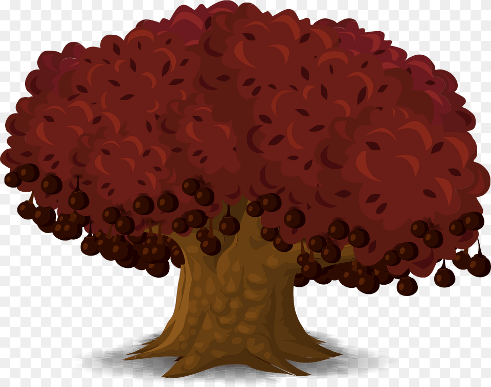 Red Spice Tree Clipart, Plant, Maple, Vegetation, Flower Png