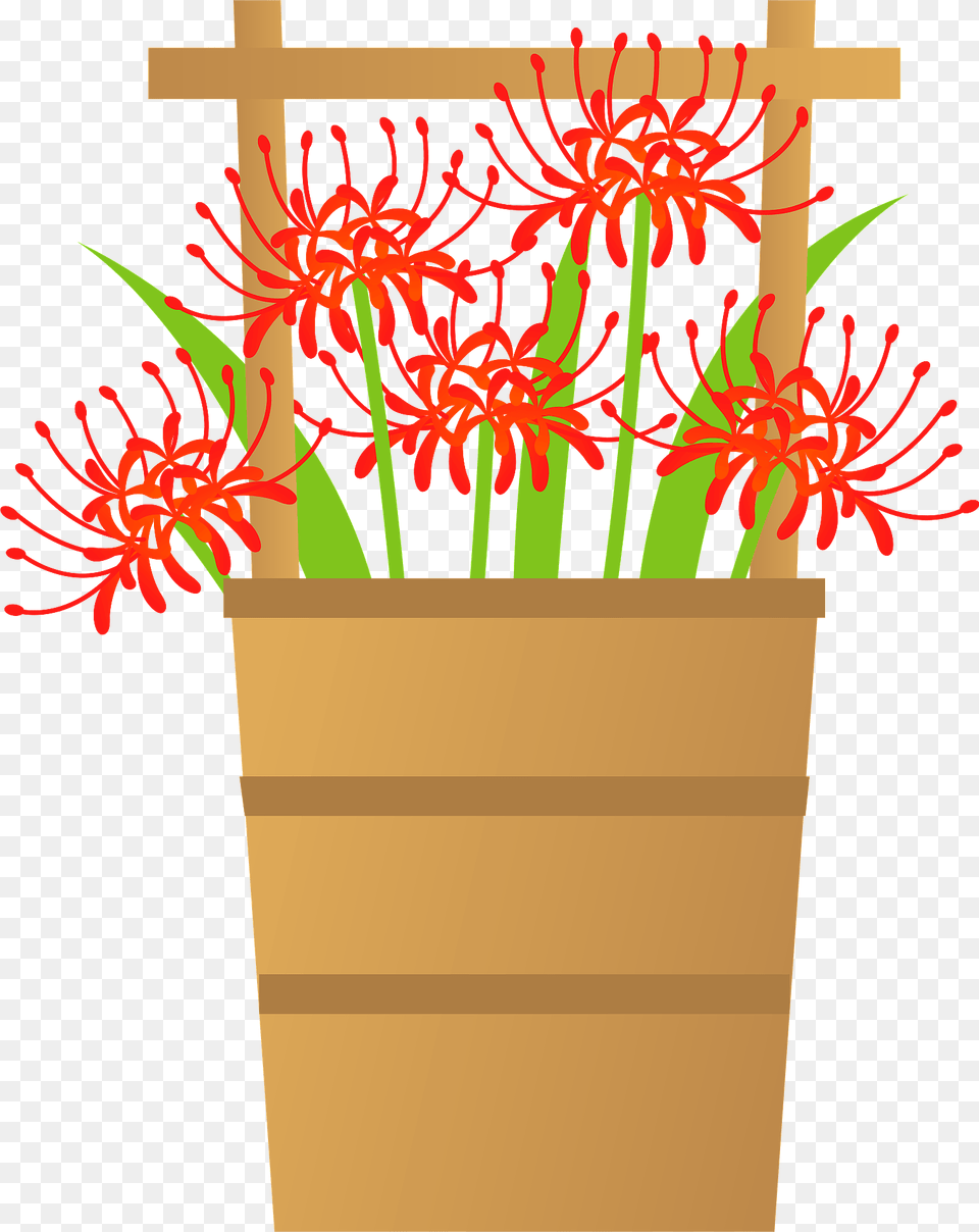Red Spider Lily Flower Clipart, Jar, Plant, Planter, Potted Plant Png