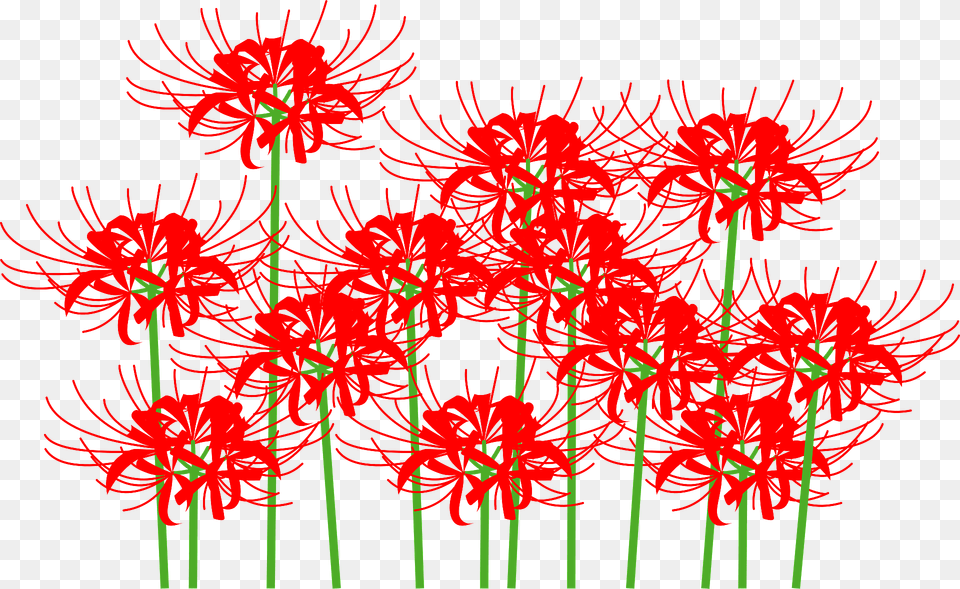 Red Spider Lily Flower Clipart, Pattern, Plant, Art, Floral Design Free Transparent Png