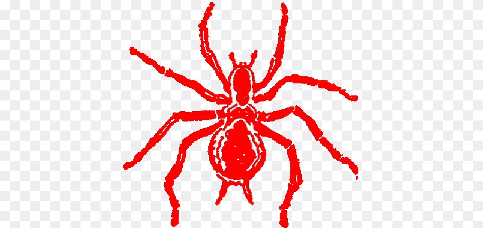 Red Spiders Pictures Group With Items, Animal, Invertebrate, Spider, Food Free Png Download