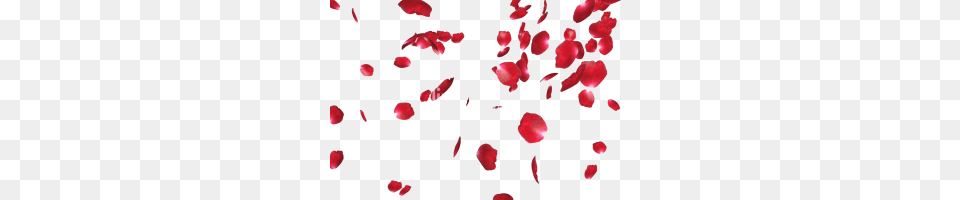 Red Splatter Image, Flower, Petal, Plant Free Png
