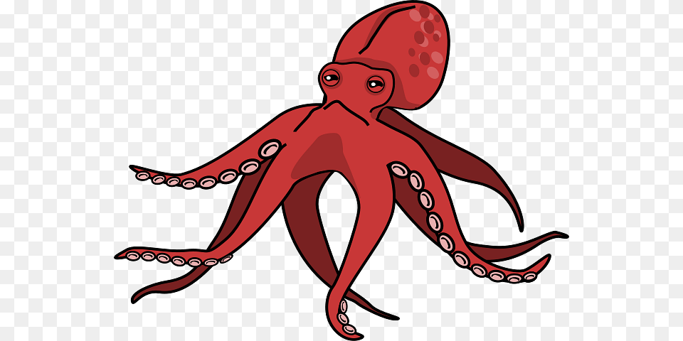 Red Squid, Animal, Invertebrate, Octopus, Sea Life Free Png Download