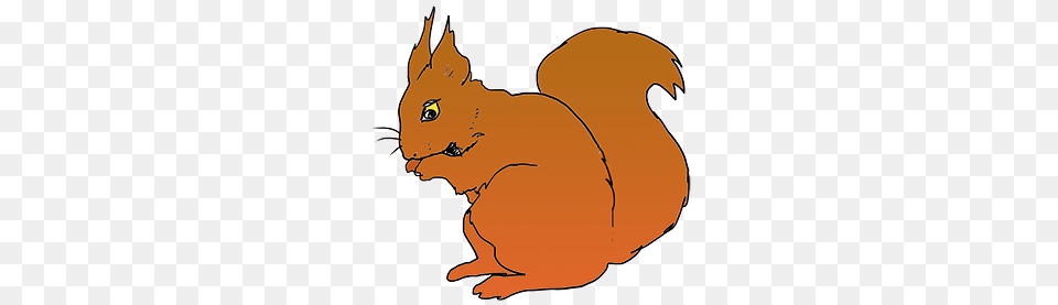 Red Squirrel, Animal, Mammal, Rodent, Fish Free Png