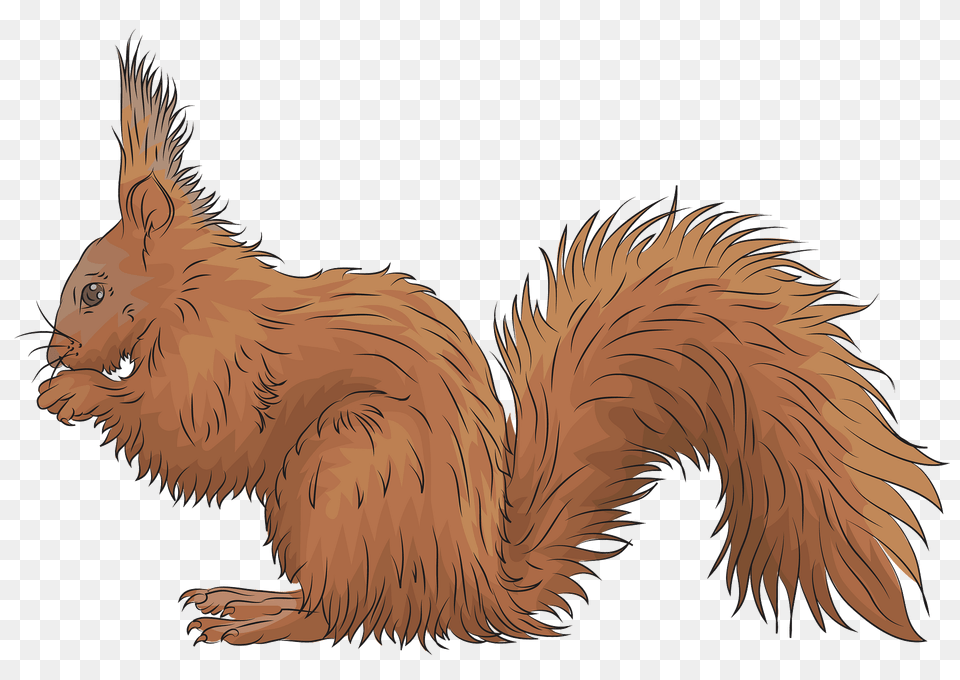 Red Squirrel Clipart, Animal, Mammal, Rodent, Bird Free Png Download