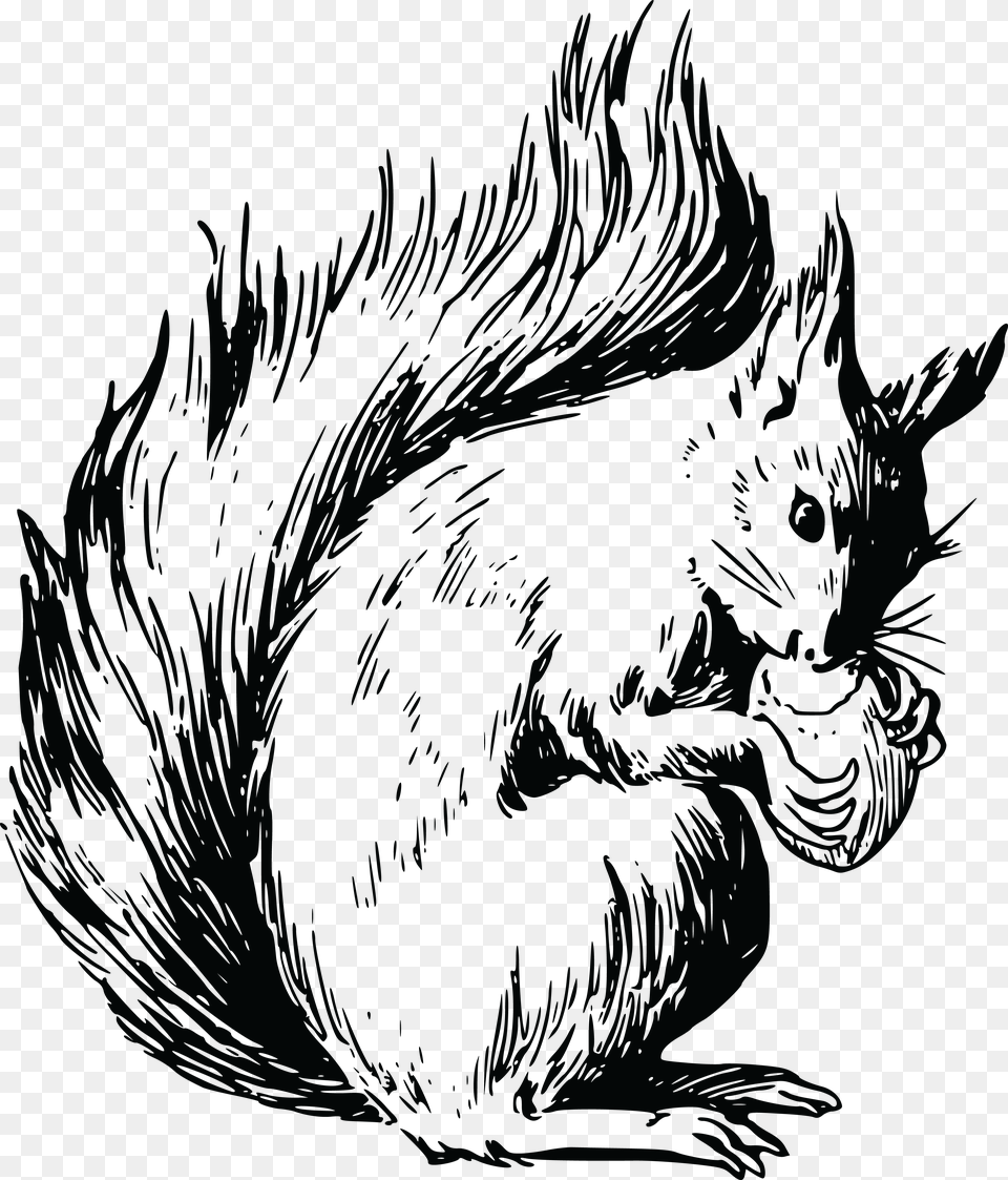 Red Squirrel Coloring Page, Animal, Mammal, Rodent Png