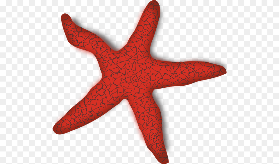 Red Starfish Clip Art, Animal, Sea Life, Invertebrate Png Image
