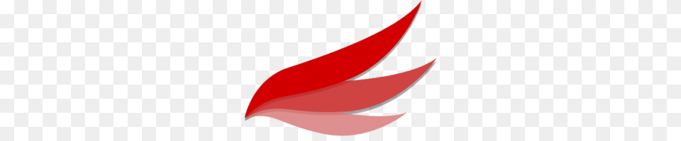 Red String Image, Flower, Leaf, Petal, Plant Free Png Download