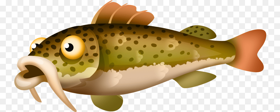 Red Tailed Catfish Ikan Hay Day, Animal, Fish, Sea Life, Trout Png
