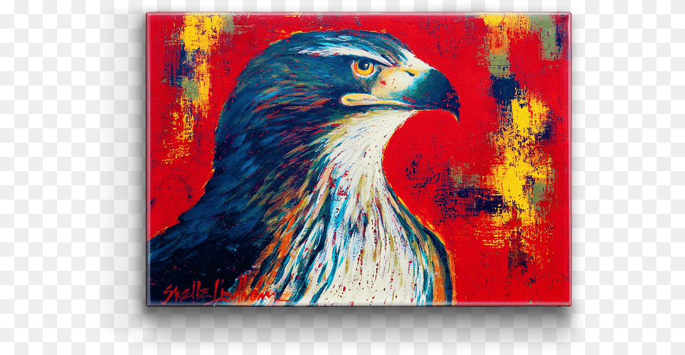 Red Tailed Hawk Box Art Osprey, Painting, Modern Art, Canvas, Animal Free Png Download