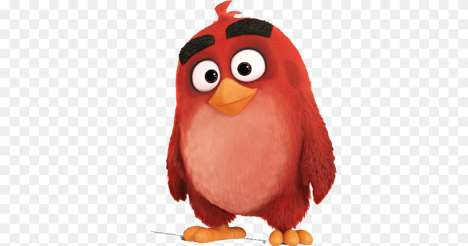 Red The Angry Bird Animais Coloridos Desenhos Animados Red Imagenes De Angry Birds, Animal, Beak Png Image