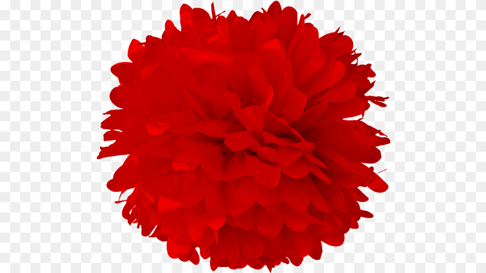 Red Tissue Pom Poms Lanterns And More Red Pom Pom Clipart, Flower, Plant, Rose, Home Decor Png Image