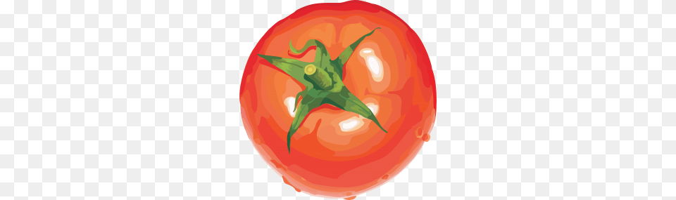 Red Tomato Red, Food, Plant, Produce, Vegetable Png