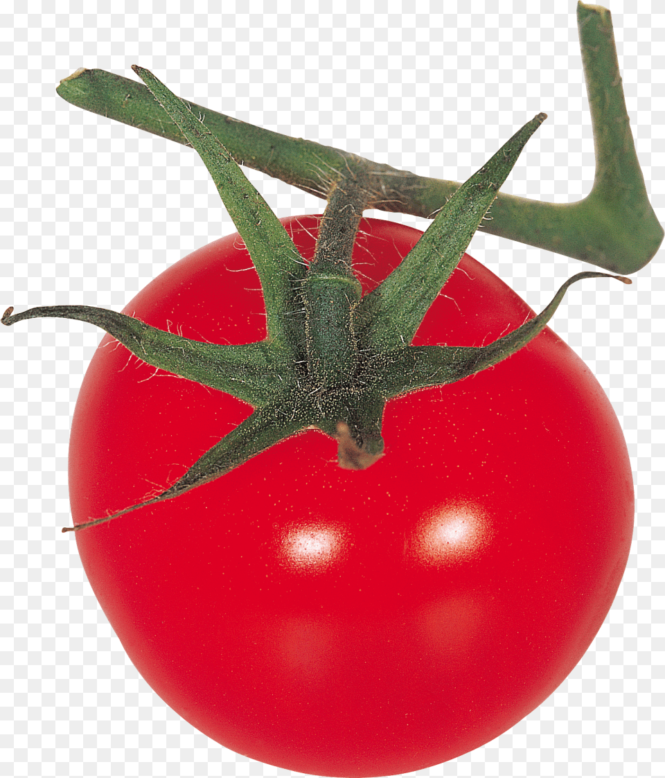 Red Tomatoes Image Tomato, Food, Plant, Produce, Vegetable Free Png