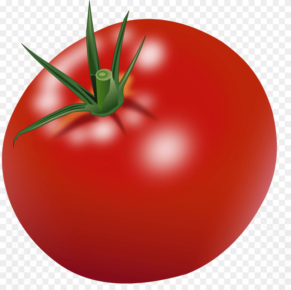 Red Tomatoes Image Tomato Clipart, Food, Plant, Produce, Vegetable Png