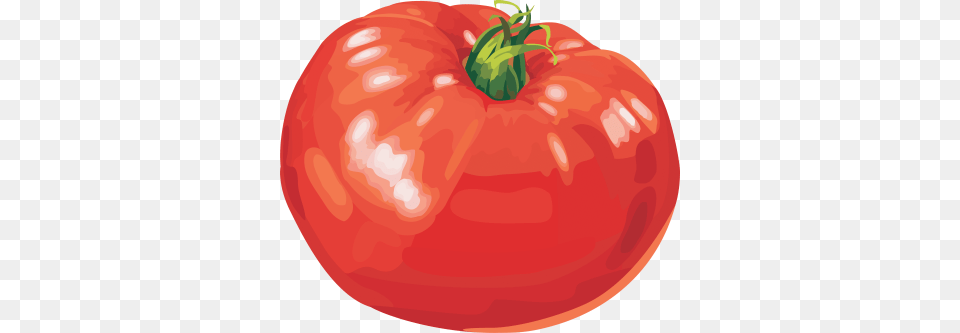 Red Tomatoes Kartinka Narisovannij Pomidor, Birthday Cake, Tomato, Produce, Plant Free Png Download